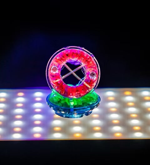 Light Candi